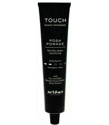 Touch Posh Pomade 100ml